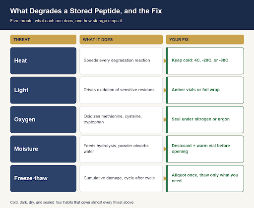 Five threats to stored peptides and the fix for each: heat speeds every degradation reaction, fixed by keeping material at 4C, -20C or -80C; light drives oxidation of sensitive residues, fixed by amber vials or foil wrap; oxygen oxidizes methionine, cysteine and tryptophan, fixed by sealing under nitrogen or argon; moisture feeds hydrolysis and is absorbed by powder, fixed by a desiccant and warming the vial before opening; freeze-thaw causes cumulative damage cycle after cycle, fixed by aliquoting once and thawing only what you need.