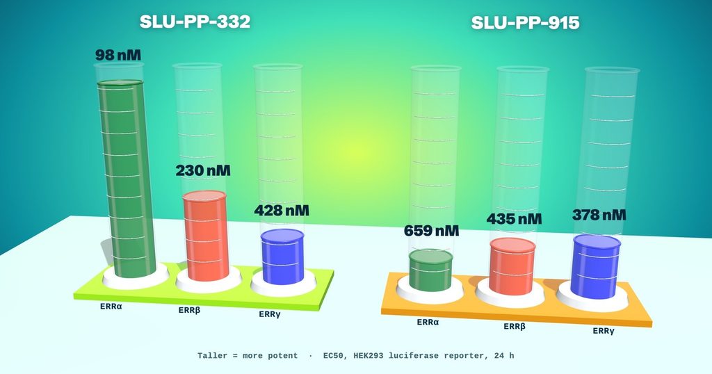 SLU-PP-332 vs SLU-PP-915 EC50 at ERRŒ±, ERRŒ≤ and ERRŒ≥
