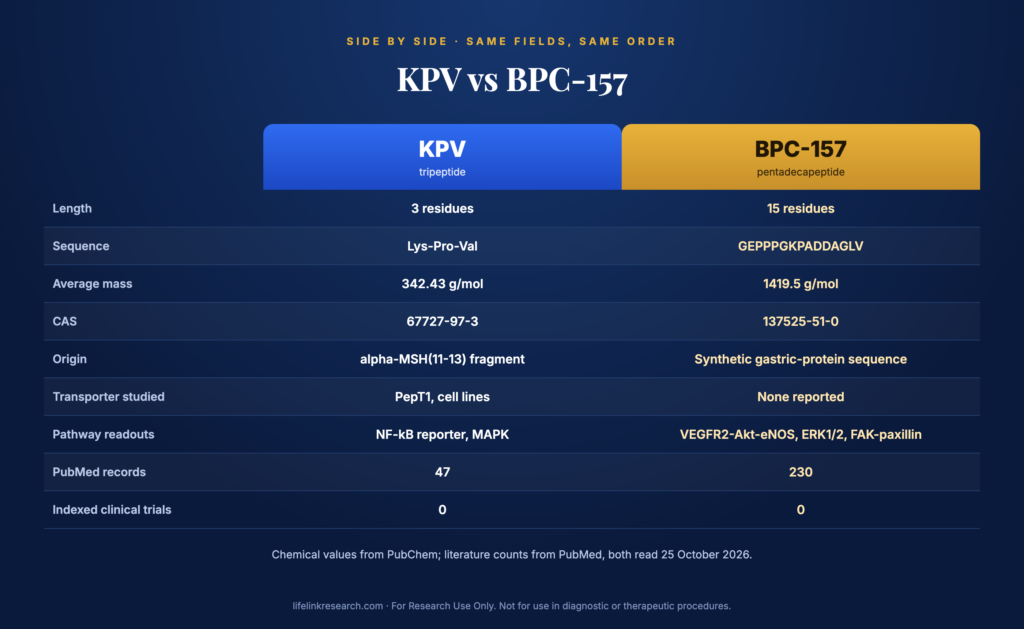 KPV vs BPC-157 comparison table graphic: sequence, mass, origin, pathways and study types